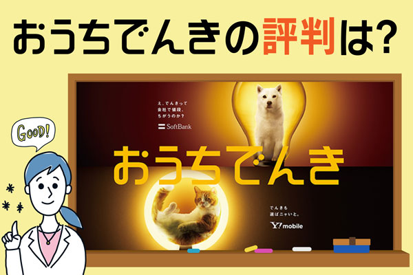 おうちでんき評判