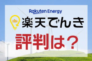 楽天でんき評判
